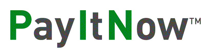 PayItNow(tm) logo